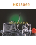 HK13069