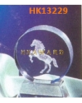 HK13229