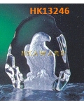 HK13246