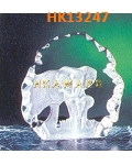 HK13247