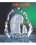 HK13249