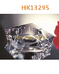 HK13295