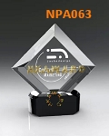 NPA063