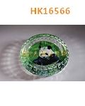 HK16566