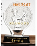 HK17267