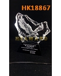 HK18867