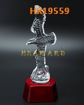 HK19559