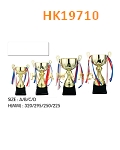 HK19710
