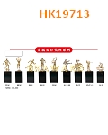HK19713