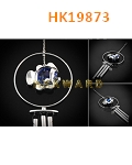 HK19873