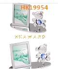 HK19954