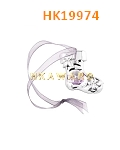 HK19974