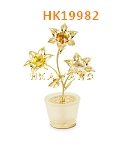 HK19982