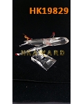 HK19829