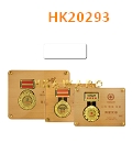 HK20293