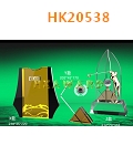 HK20538