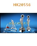 HK20556