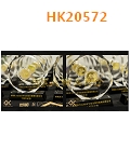 HK20572