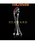 HK20608