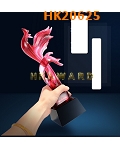 HK20625