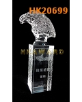 HK20699