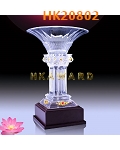 HK20802