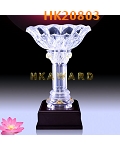 HK20803