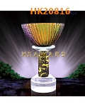 HK20816
