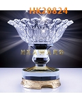 HK20824