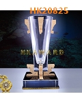 HK20825