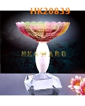 HK20839