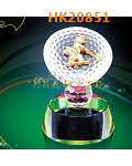 HK20851