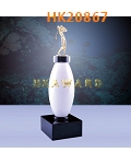 HK20867