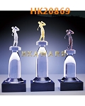 HK20869