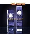 HK20890