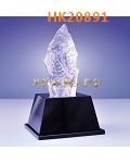HK20891