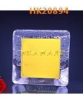 HK20894