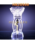 HK20900