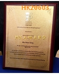 HK20603