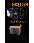 HK21034