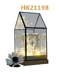 HK21198