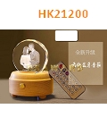 HK21200