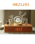 HK21203