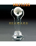 HK21285