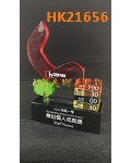 HK21656