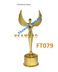 FT079