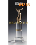 JH263