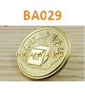 BA029