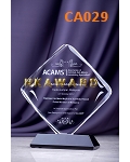 CA029