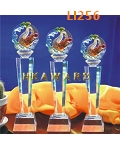 LI256